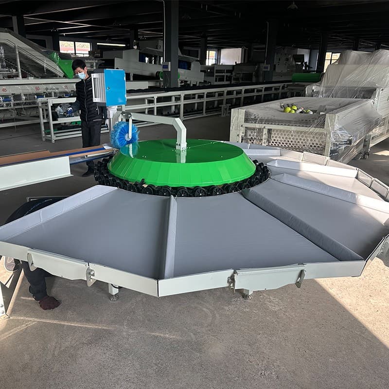 images/1703750379267fruit weight grader.jpg